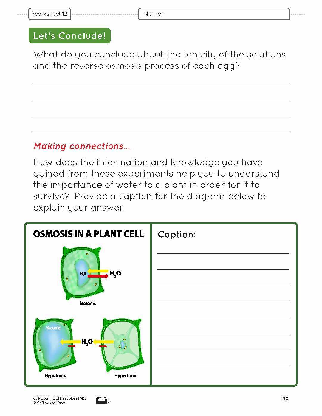 worksheet 8 osmosis basic concepts answers