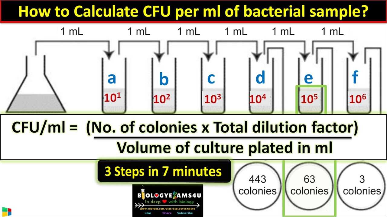 final exam microbiology with answers une