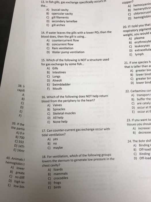 security guard exam answer sheet