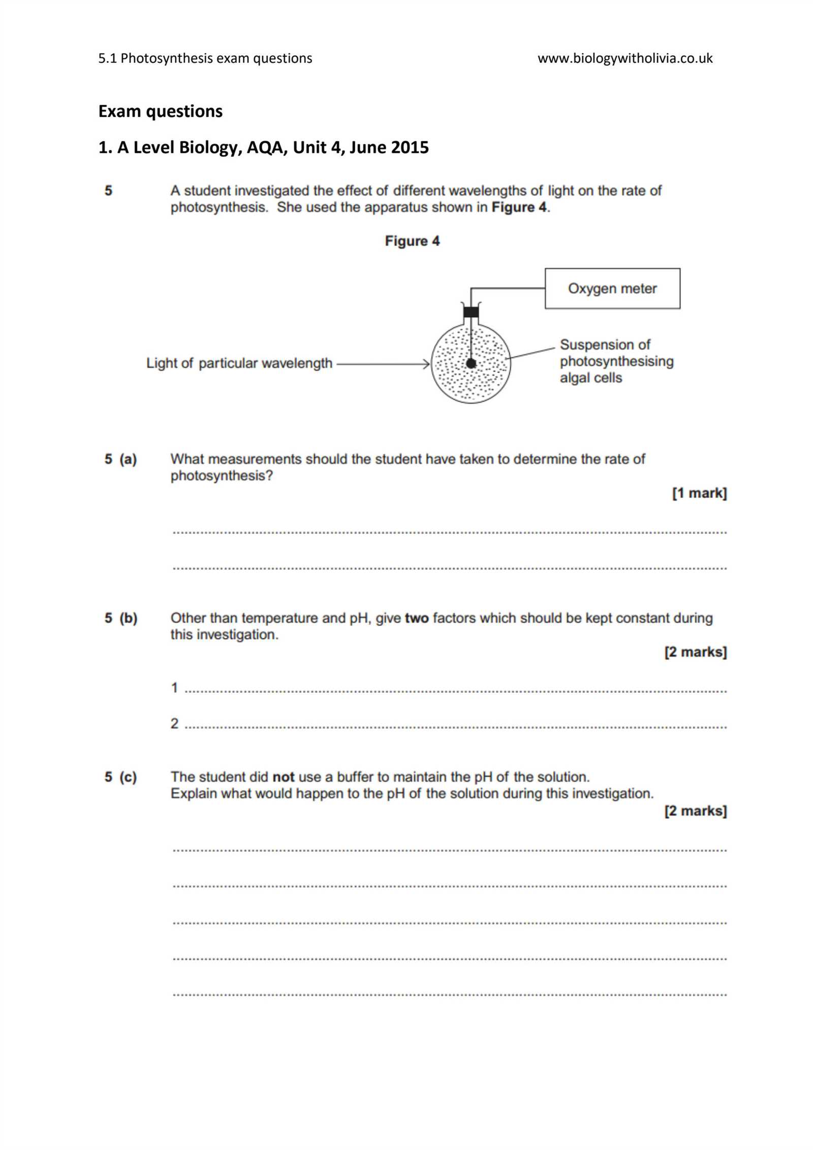 photosynthesis exam questions and answers