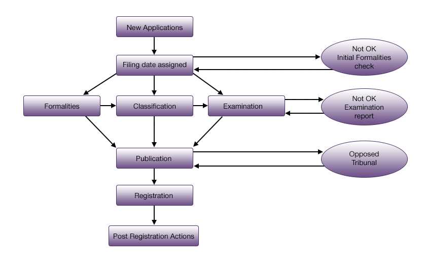 trademark law exam model answer