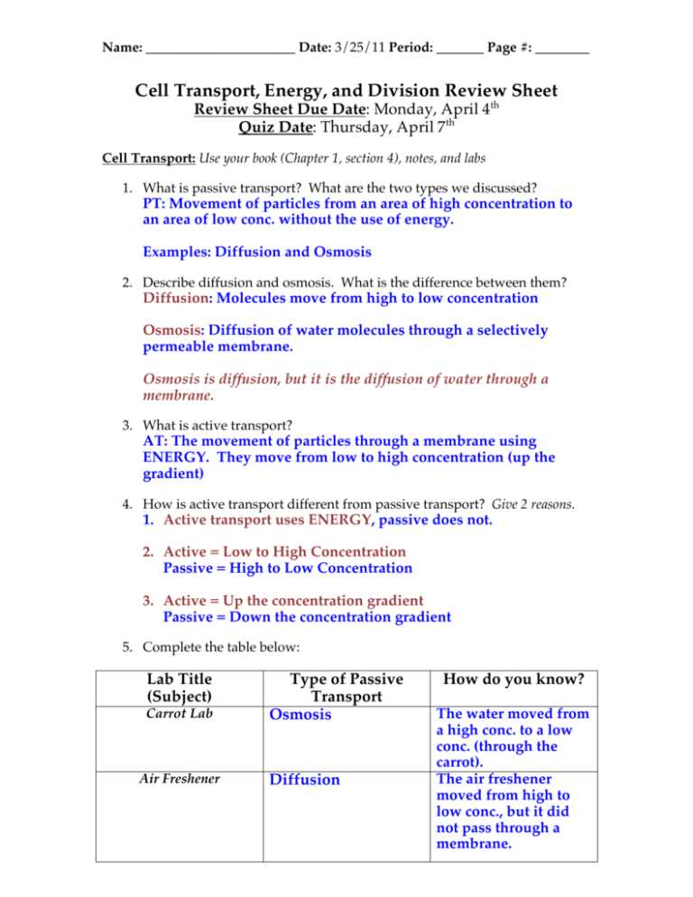 section 4 cellular transport answers