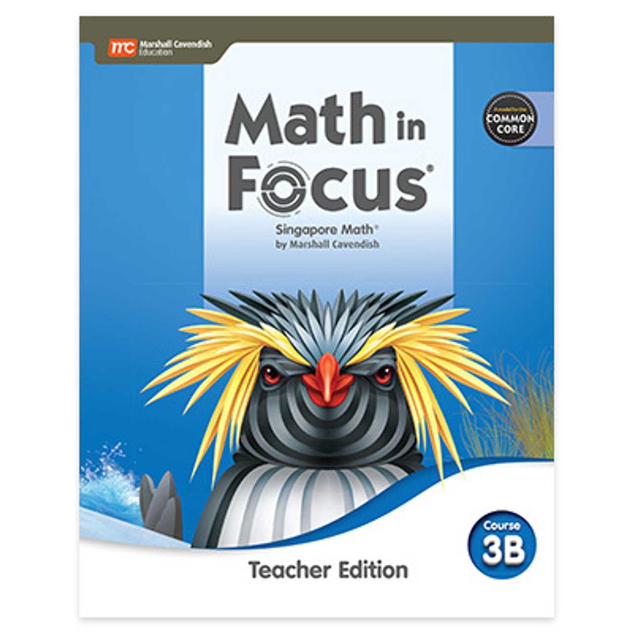 math in focus singapore math answer key