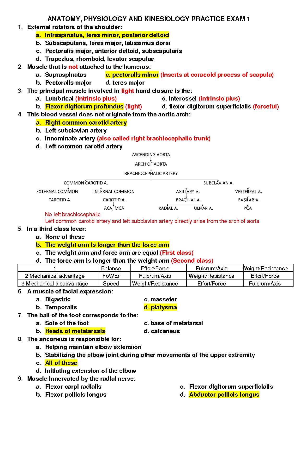 anatomy and physiology 1 final exam practice test