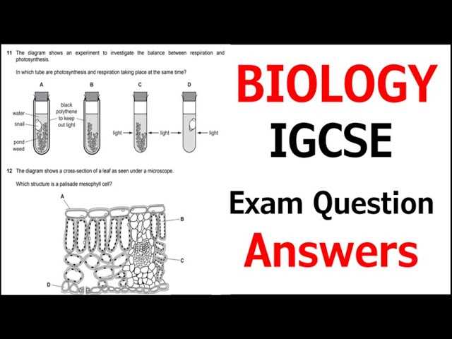 photosynthesis exam questions and answers