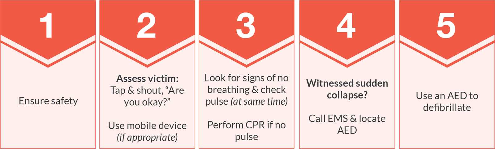 american heart association basic life support exam b answer key