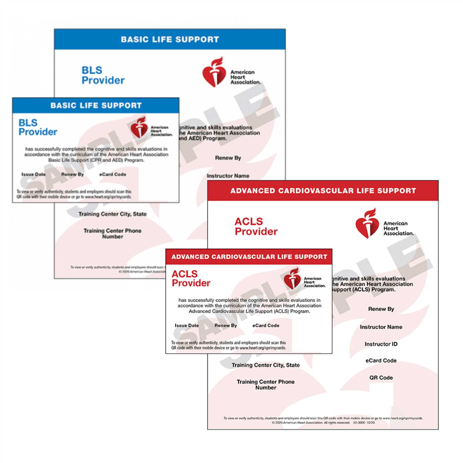 heartcode bls esim answers