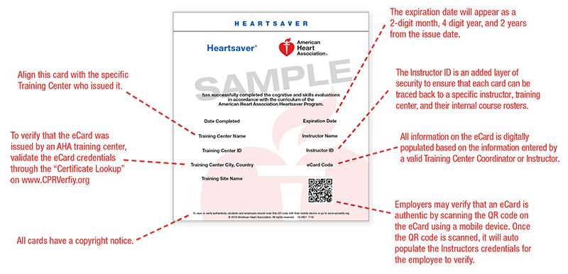 american heart association basic life support exam c answers