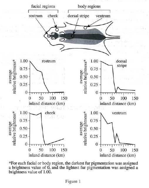 act science test 4 answers