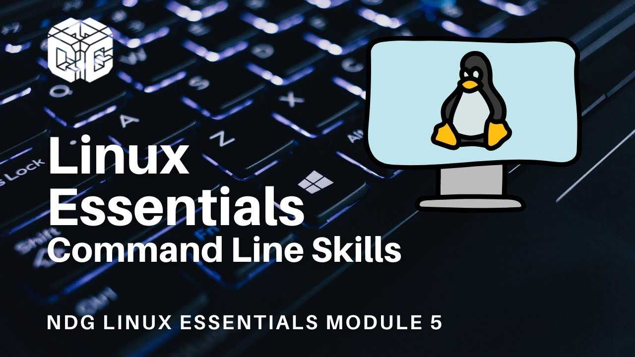 ndg linux essentials 2.0 chapter 17 exam answers