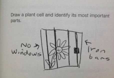 real funny exam answers