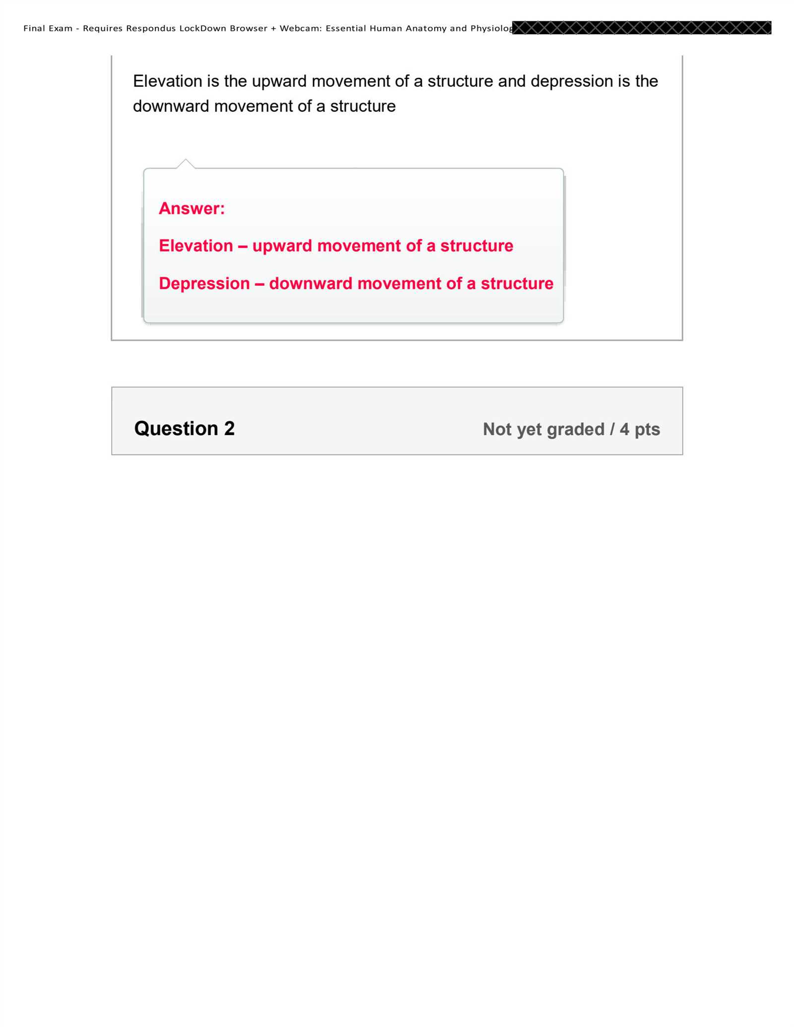 anatomy and physiology 1 final exam answer key