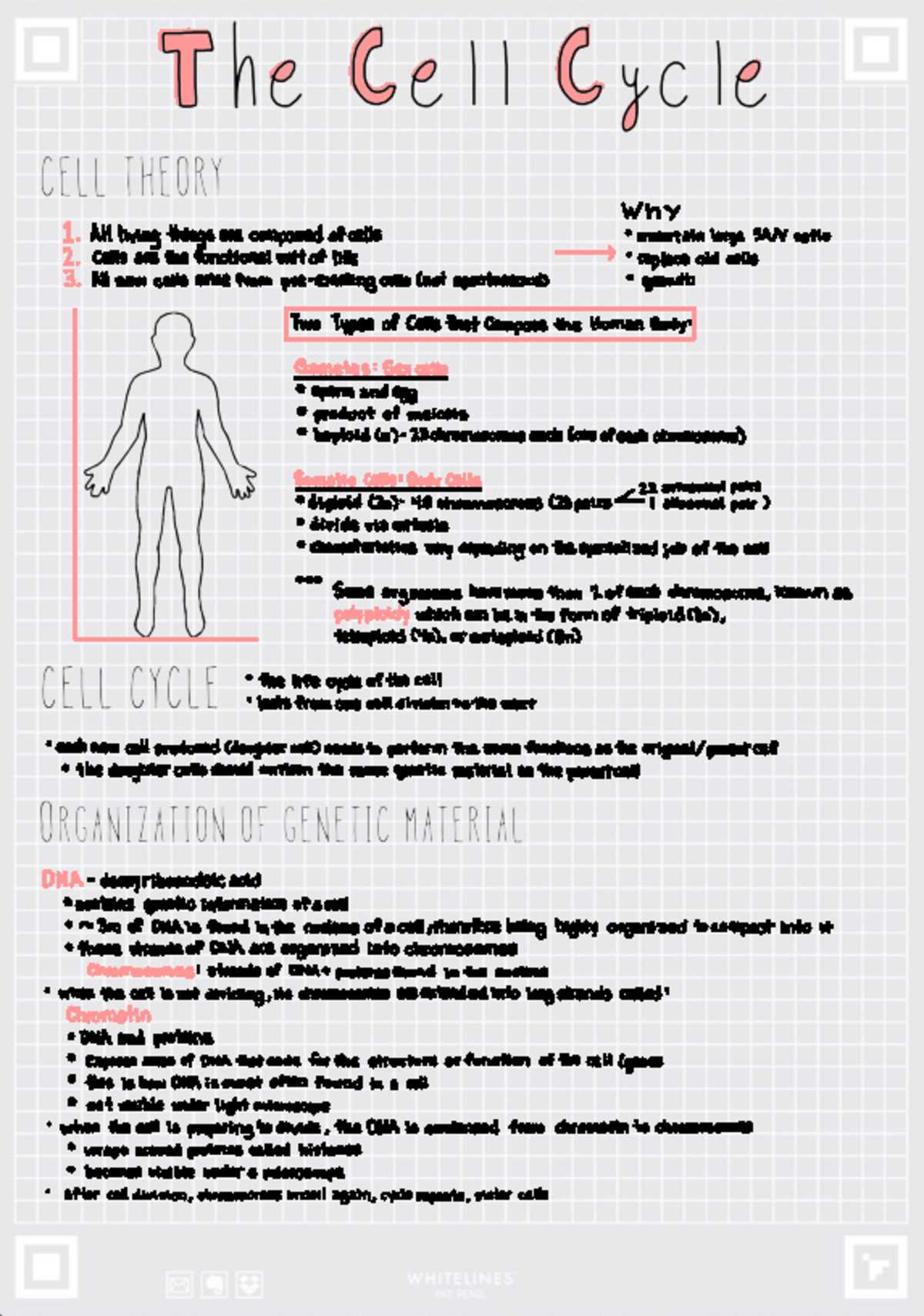 biology 30 practice exam answers