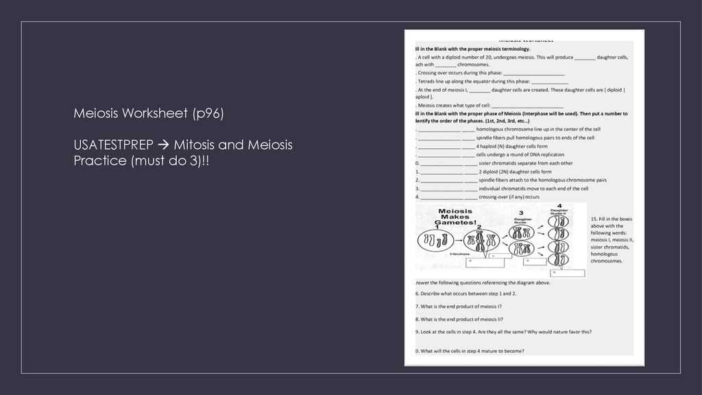 usatestprep worksheet answers