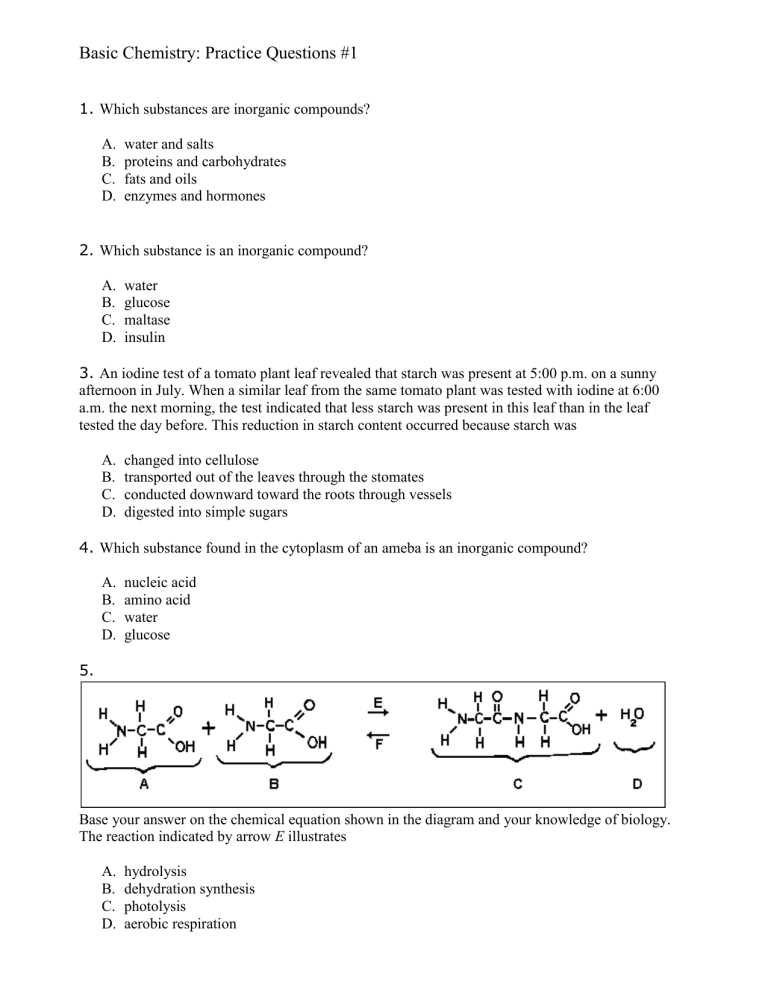 biology regents exams and answers