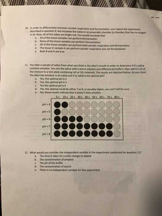 biology lab exam 1