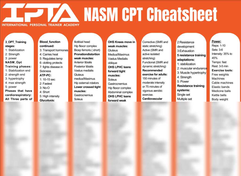 nasm exam answers