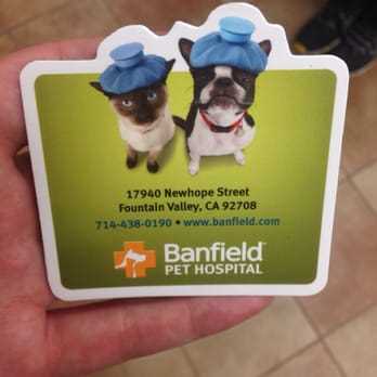 banfield exam coupon