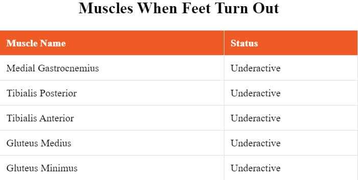 nasm group fitness exam answers