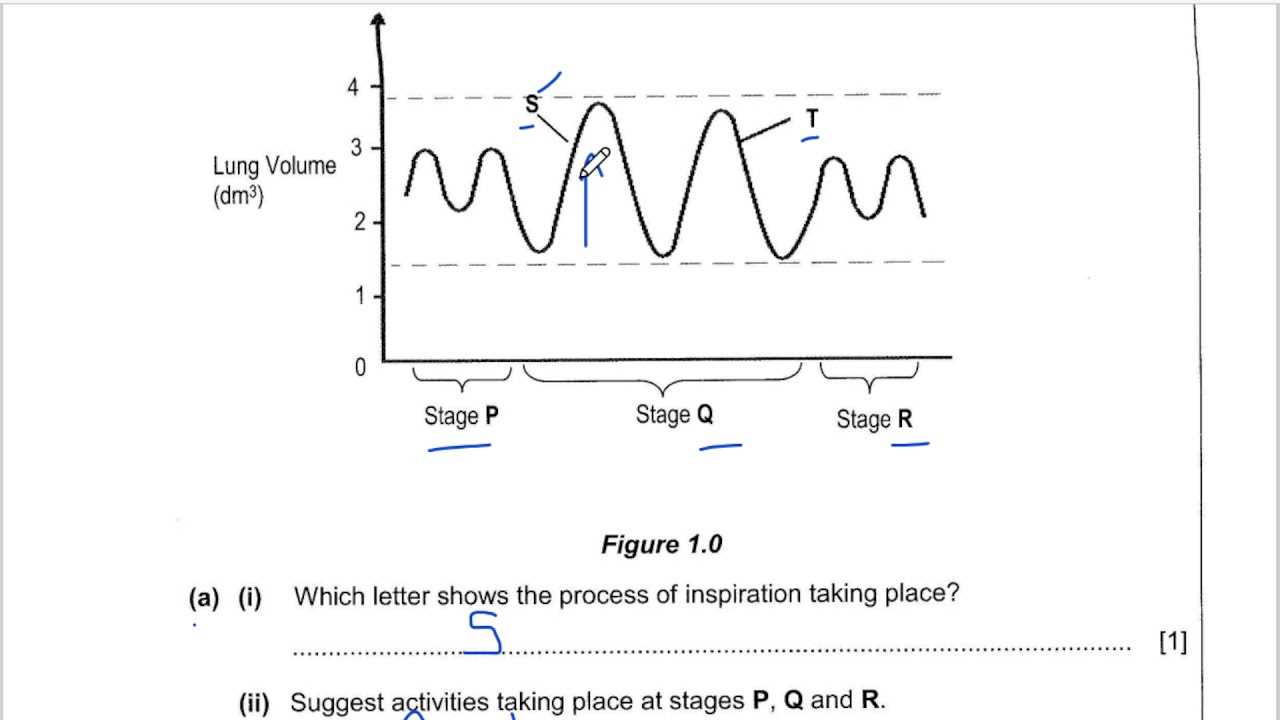 biology 2011 exam answers