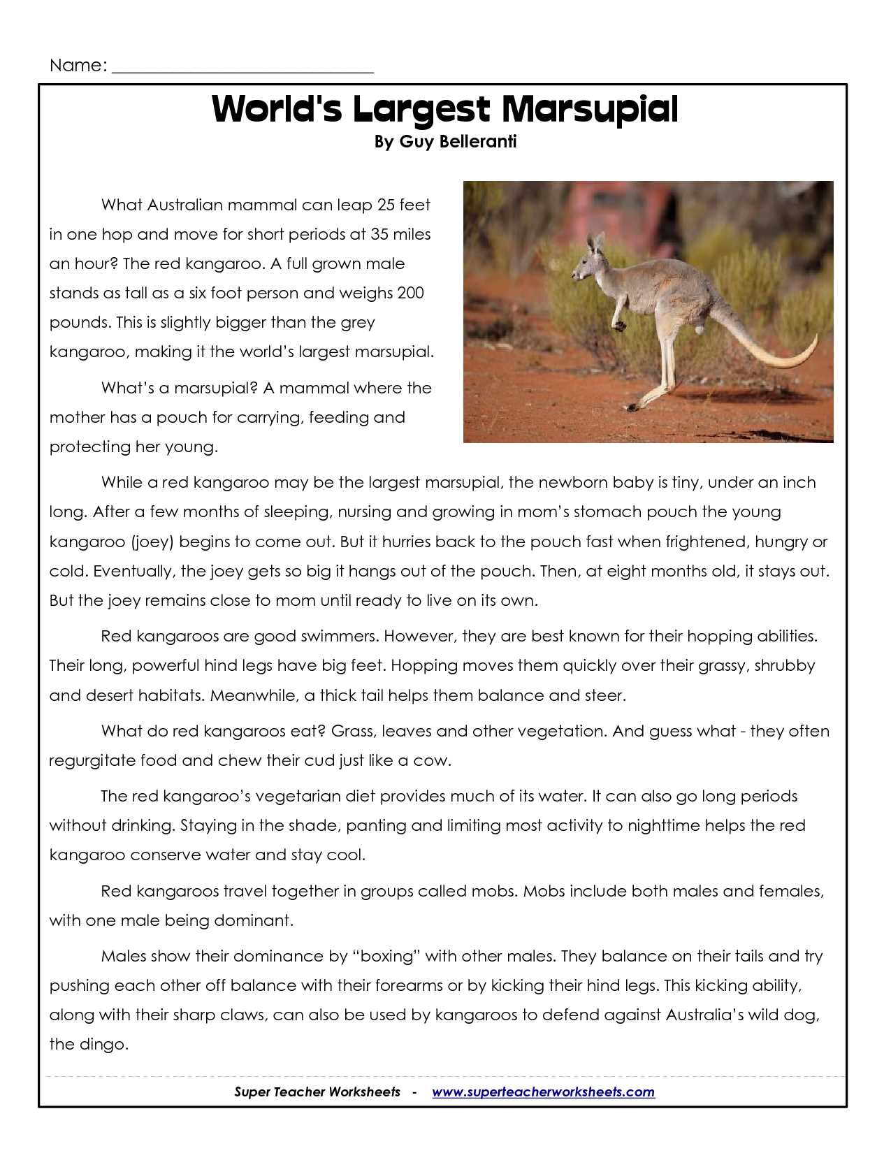 math kangaroo 2006 answers