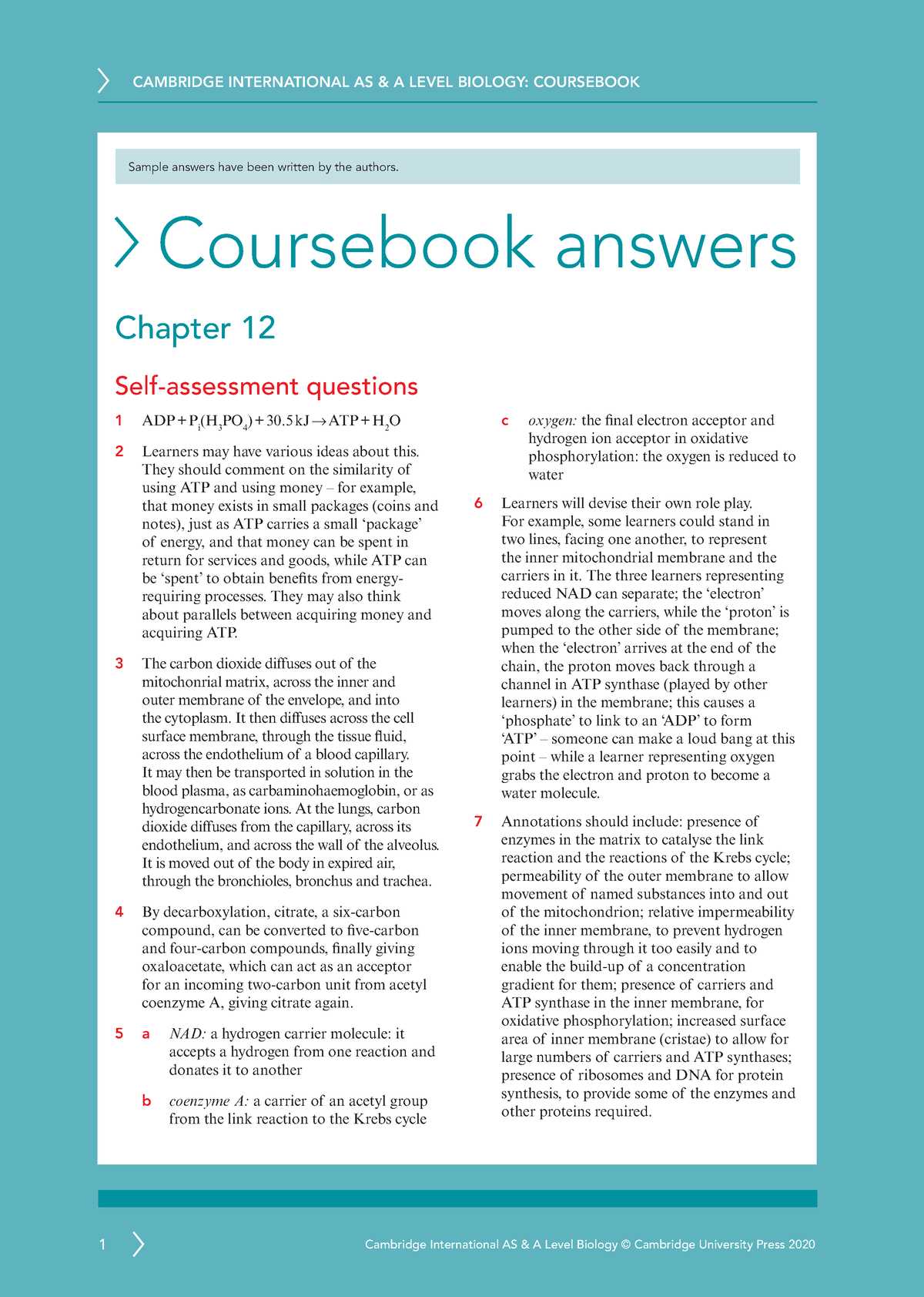 chapter 12 biology workbook answers