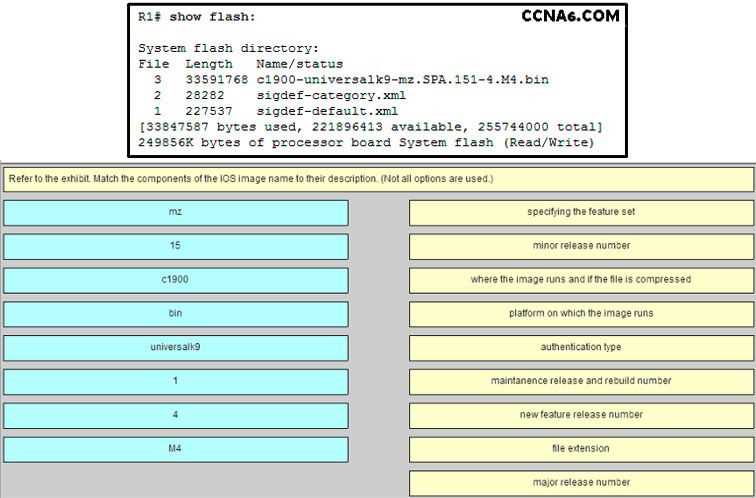 ccna module 10 13 exam answers