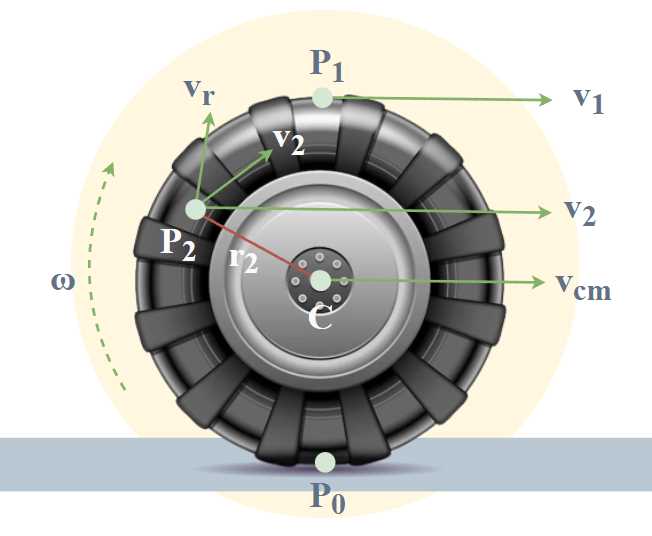 wheels in motion exam answers