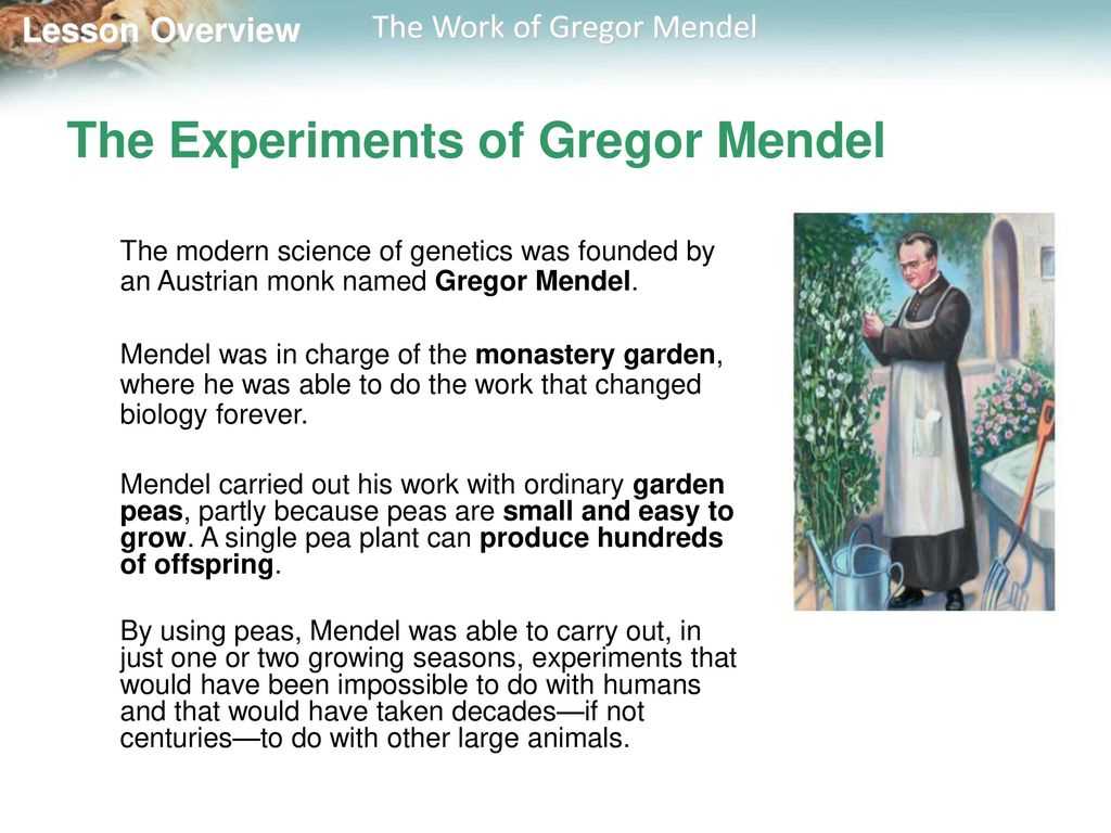 11.1 the work of gregor mendel answer key