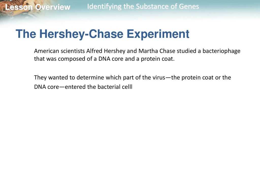 12.1 identifying the substance of genes answer key