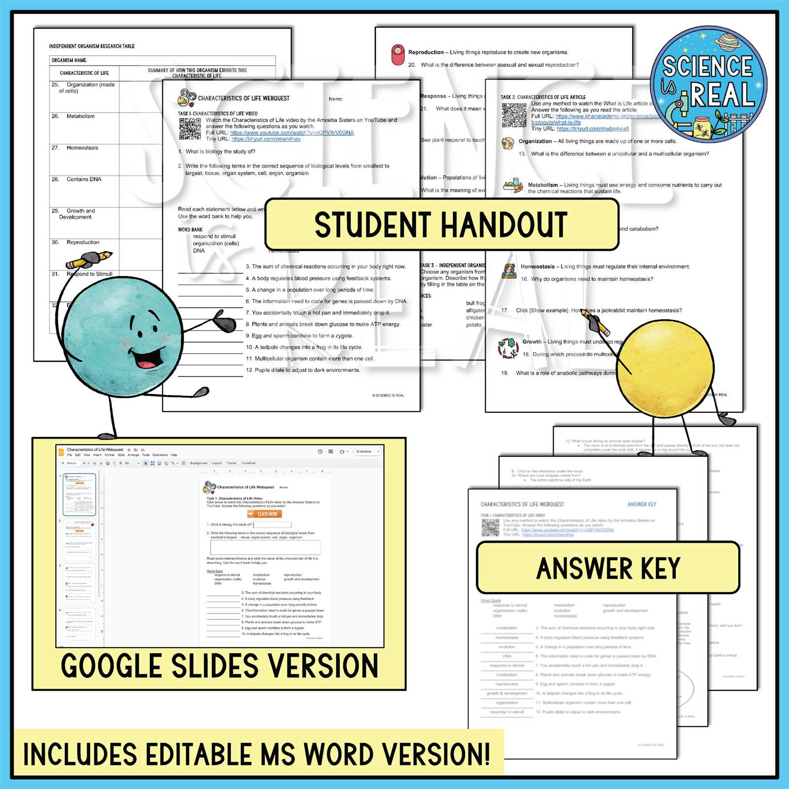 biology exam review webquest study guide answers