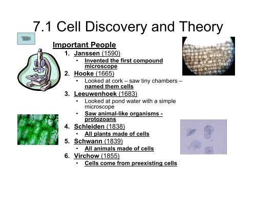 chapter 7 section 1 cell discovery and theory answer key