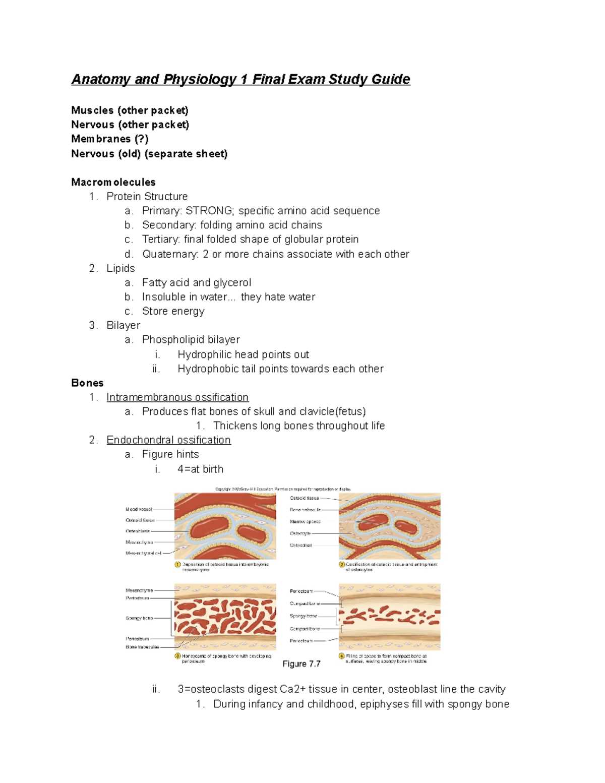 anatomy and physiology final exam practice