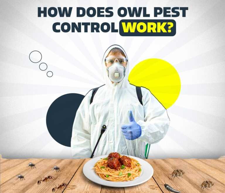 what exam does an exterminator have to take answer