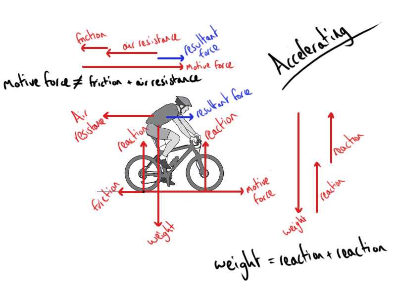 wheels in motion exam answers