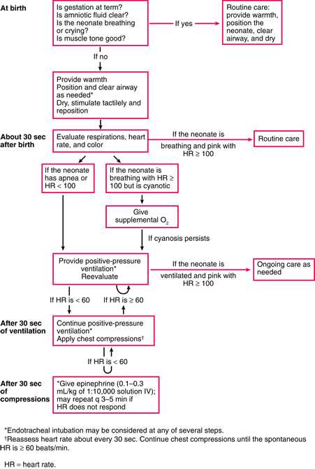 newborn physical exam template