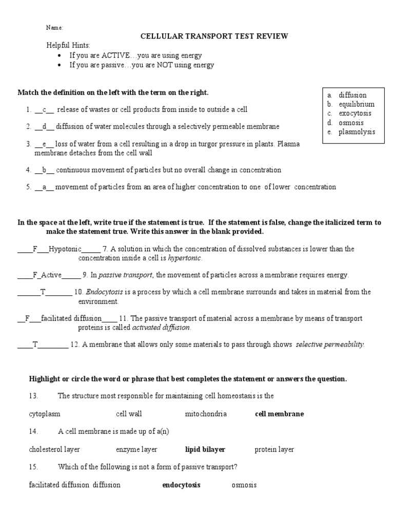 section 4 cellular transport answers