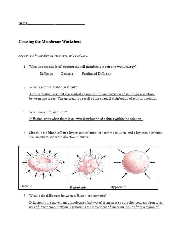 worksheet 8 osmosis basic concepts answers