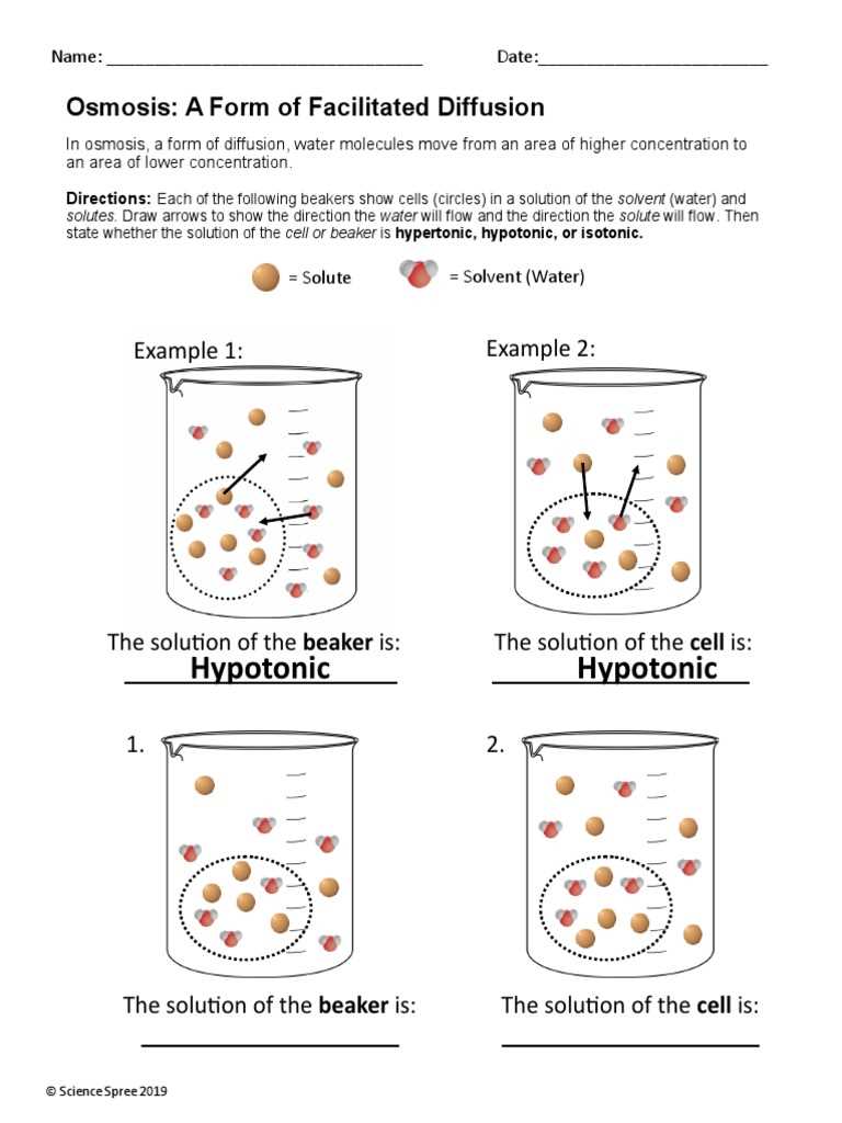 worksheet 8 osmosis basic concepts answers