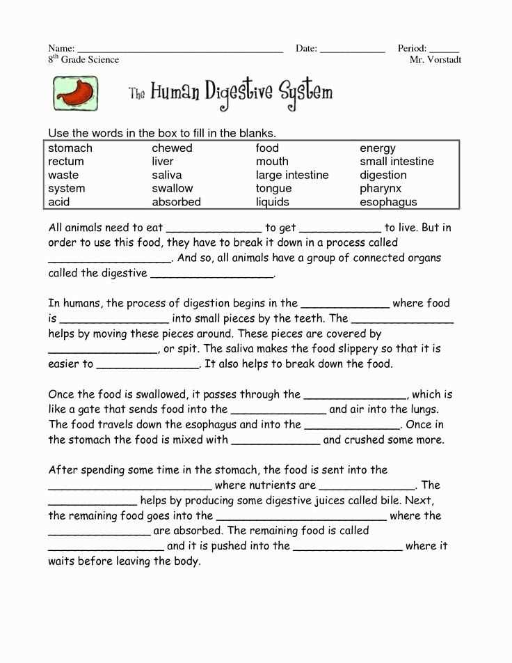 digestive system exam questions answers