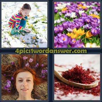 4 pics 1 word daily puzzle answer