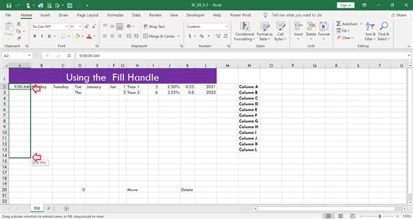 excel chapter 3 simulation exam