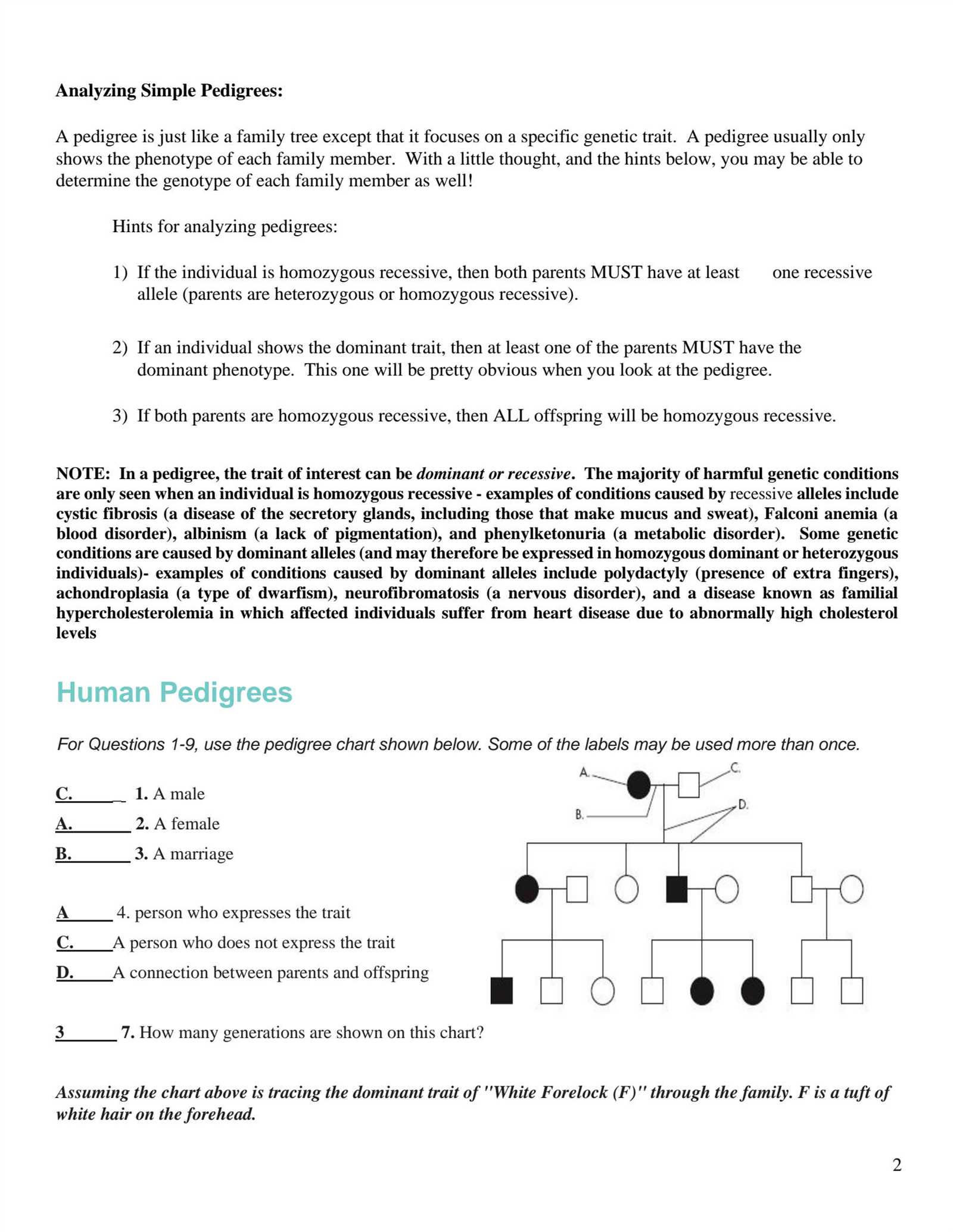 pedigree questions and answers