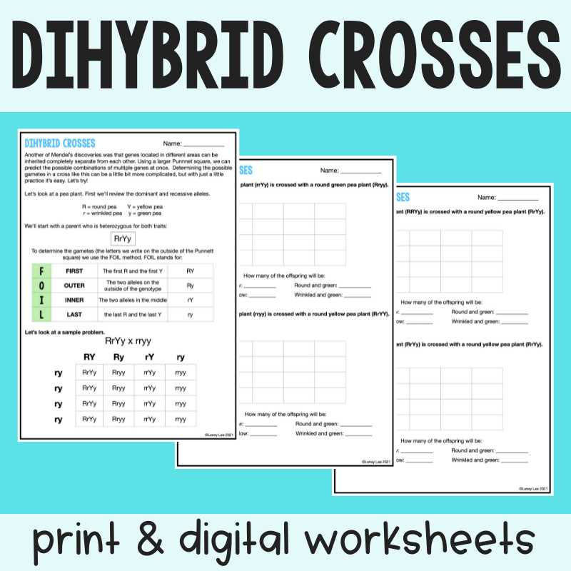 test cross worksheet answers