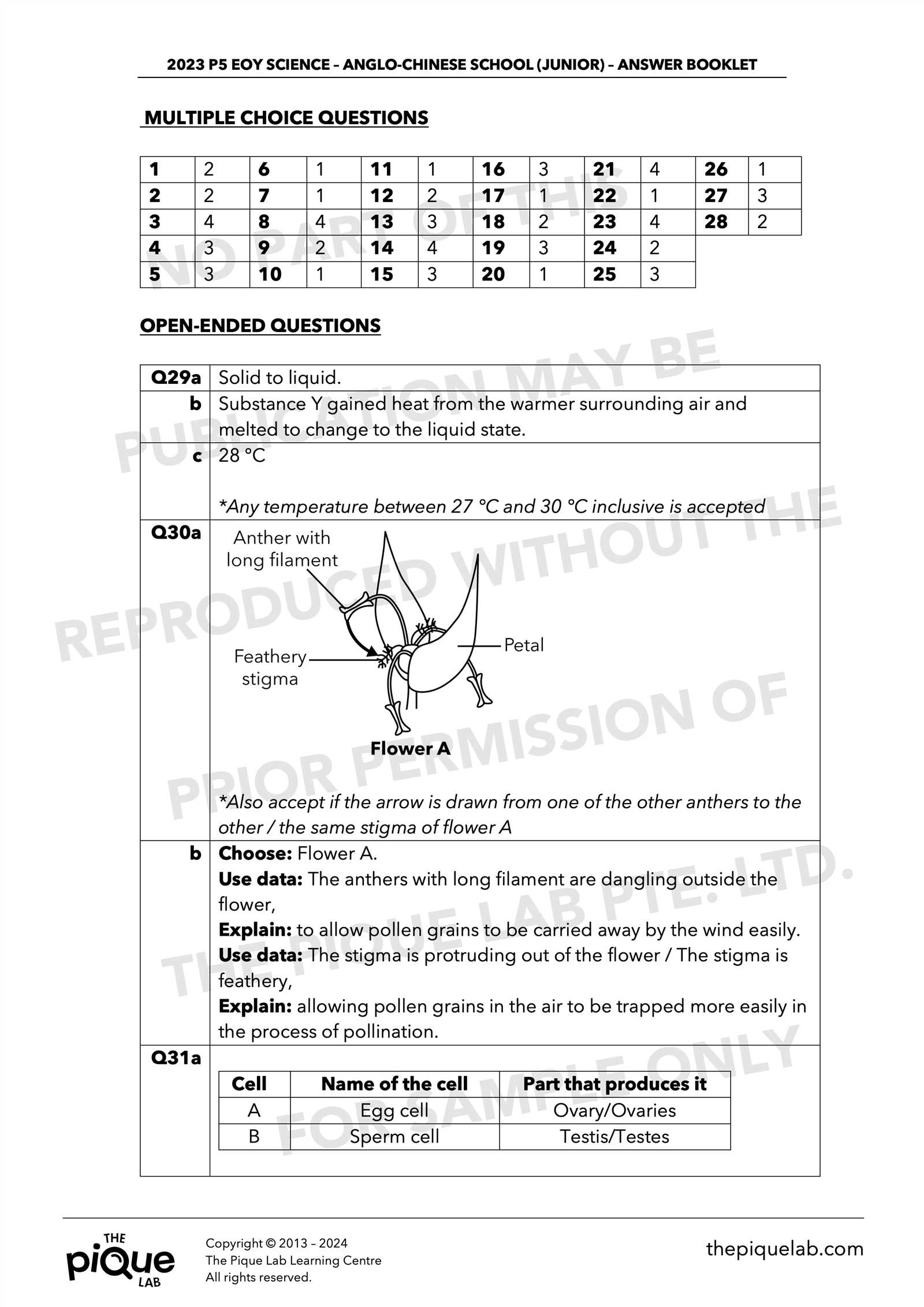 p5 test answers