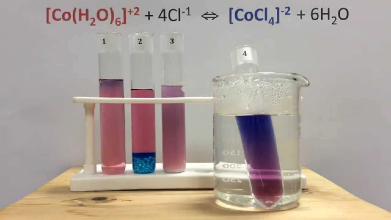 applications of le chateliers principle lab answers