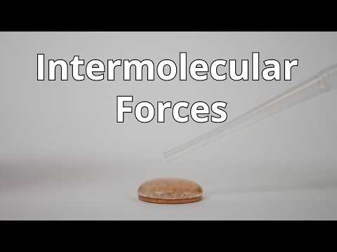 intermolecular forces lab answers