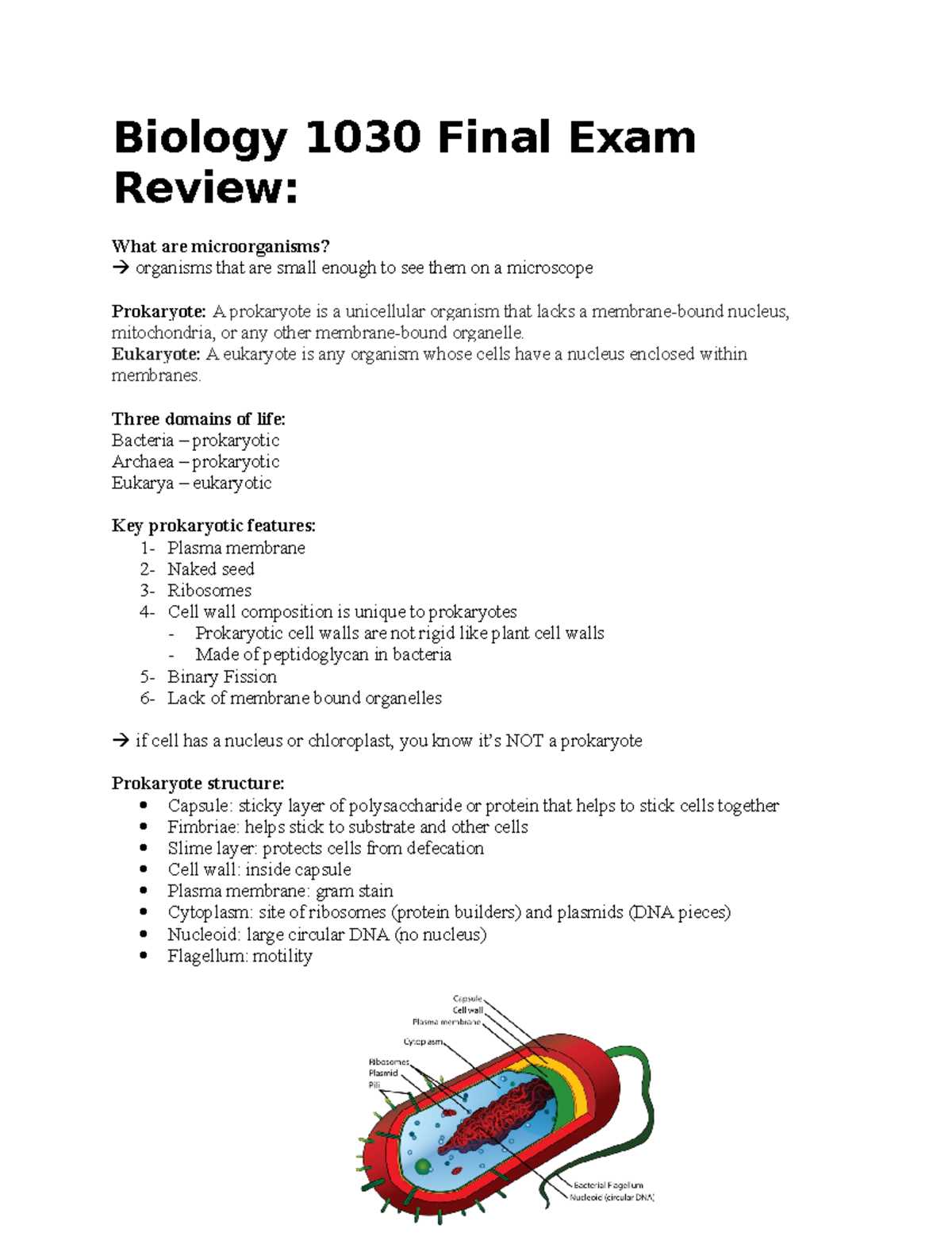 biology final exam review answers